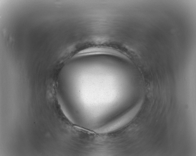 X0000066951349200604071928