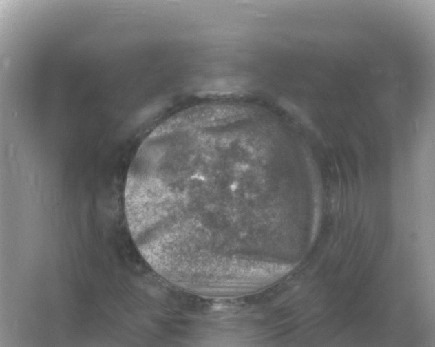 X0000066951350200604071927