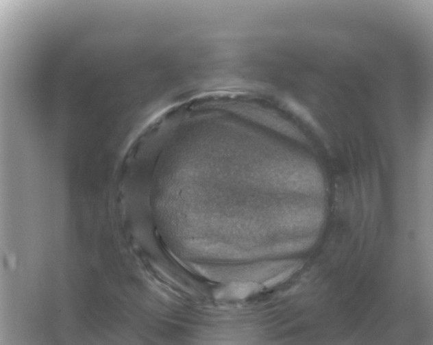 X0000066951352200604071927