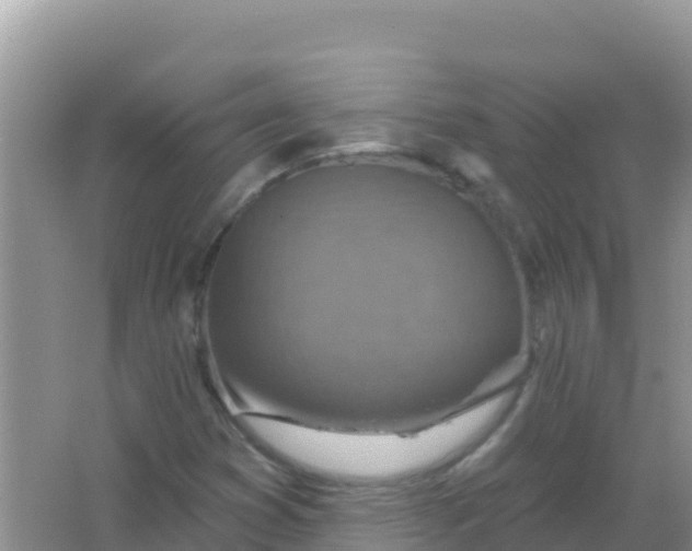 X0000066951353200604071927