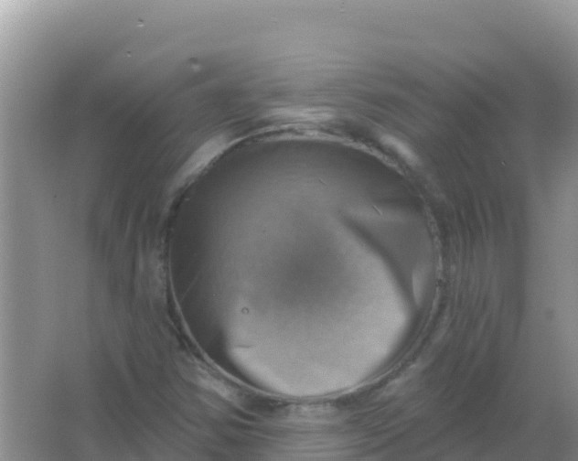 X0000066951354200604071927