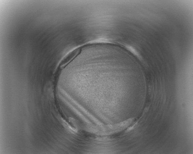 X0000066951356200604071927