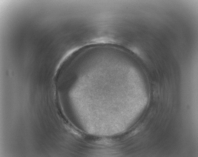 X0000066951358200604071927