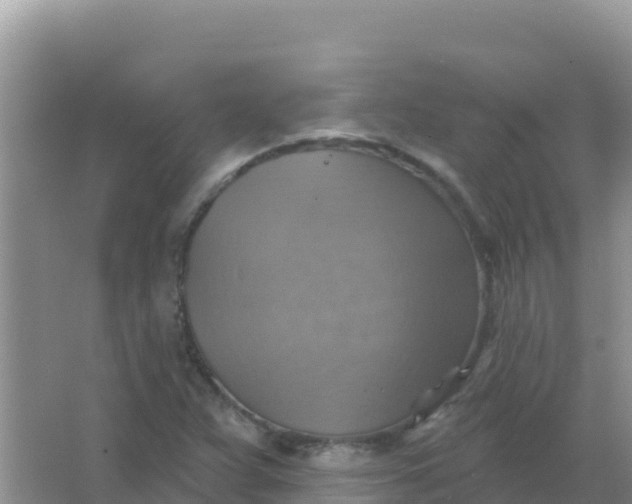 X0000066951359200604071927