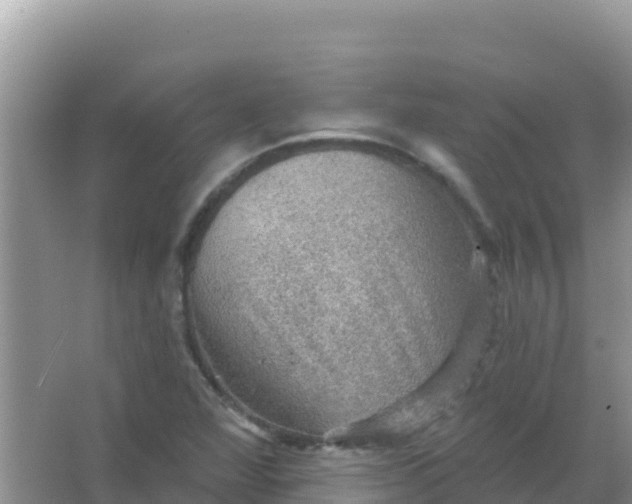 X0000066951360200604071927