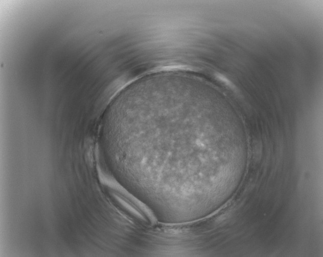 X0000066951361200604071927