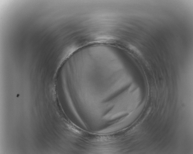 X0000066951362200604071927