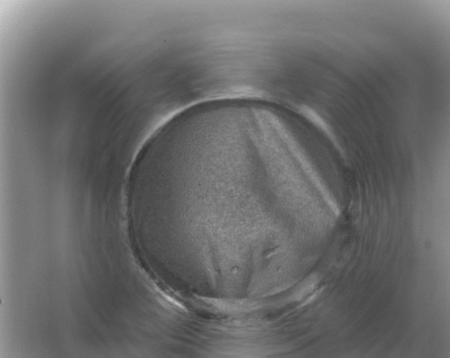 X0000066951364200604071927