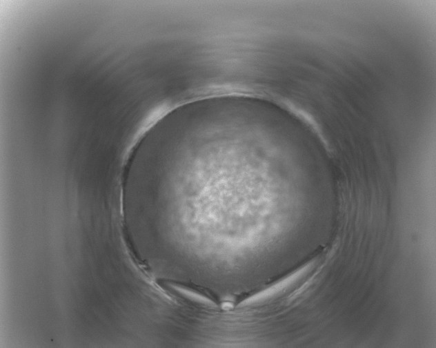 X0000066951365200604071927