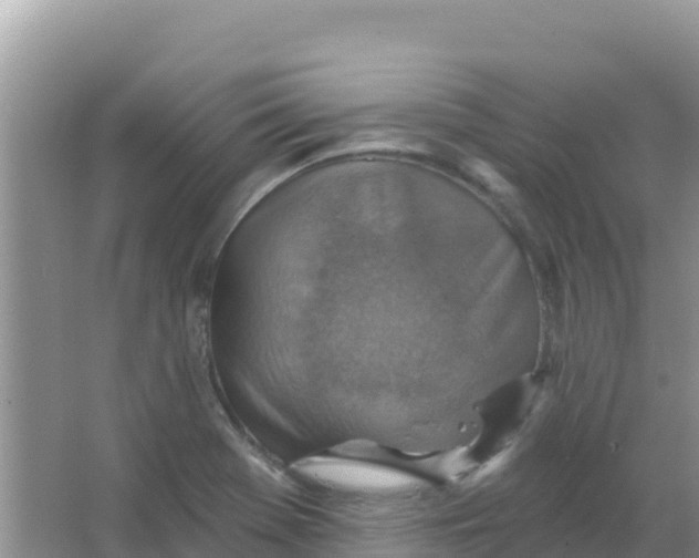 X0000066951369200604071927