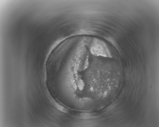 X0000066951371200604071927