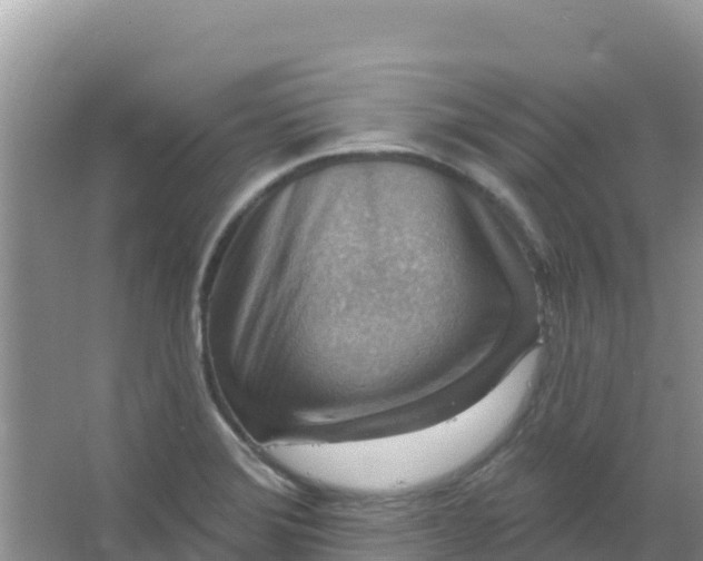 X0000066951372200604071927