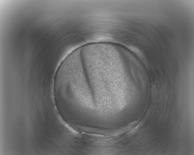 X0000066951374200604071927