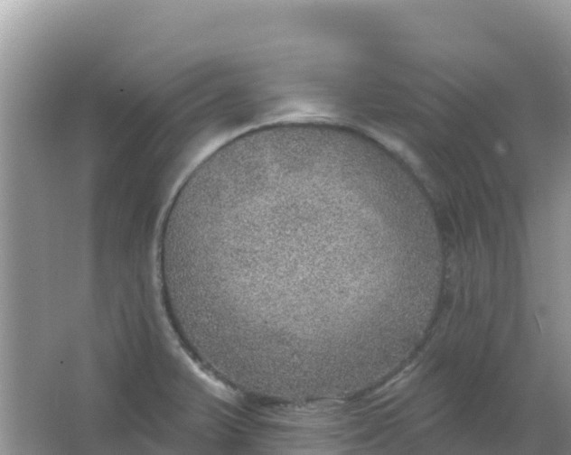 X0000066951375200604071927