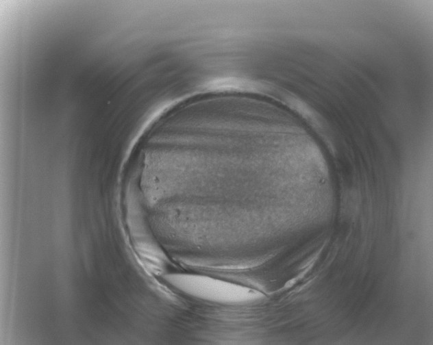 X0000066951376200604071927