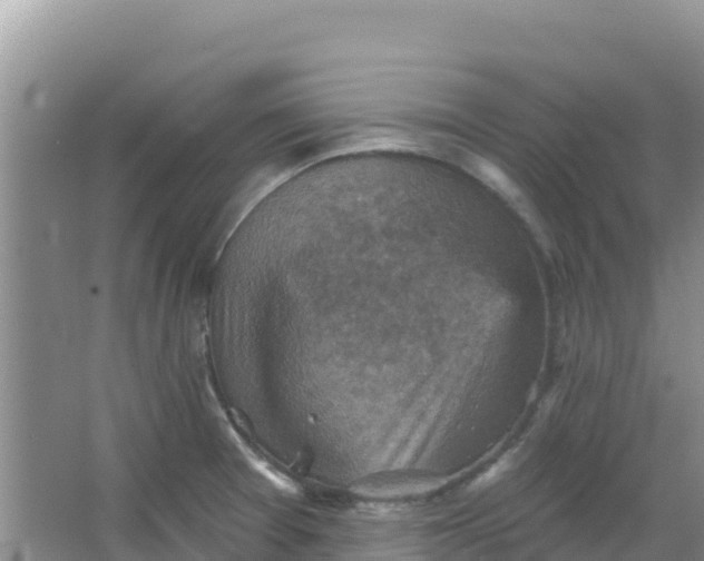 X0000066951377200604071927