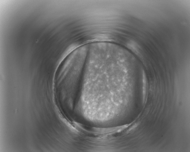 X0000066951378200604071927