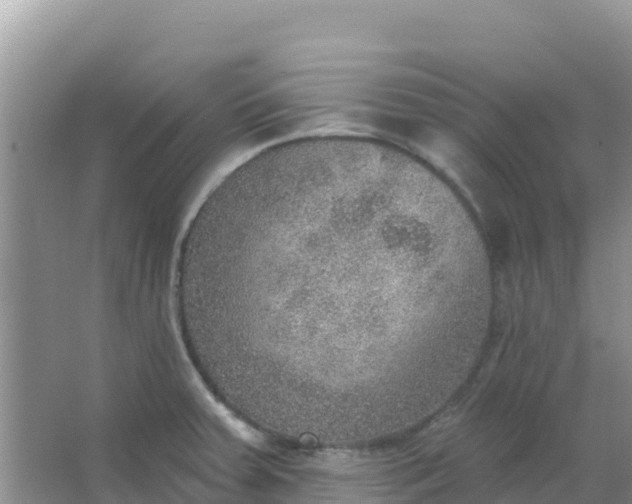 X0000066951379200604071927