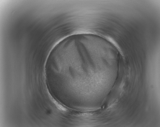 X0000066951380200604071927