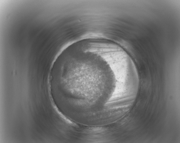 X0000066951382200604071927