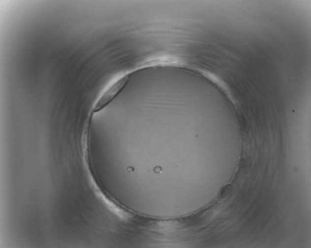 X0000066951383200604071927