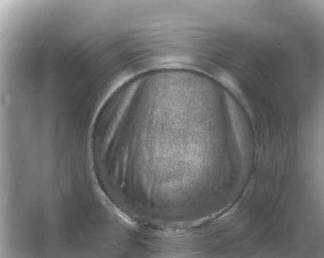 X0000066951384200604071927