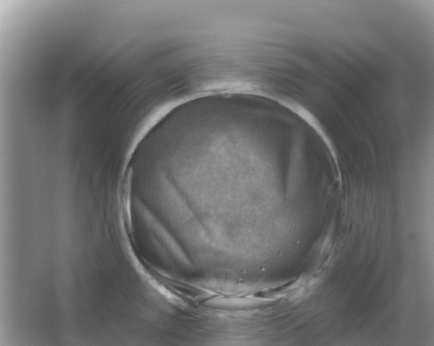 X0000066951389200604071927