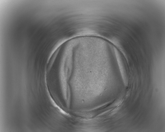 X0000066951390200604071927