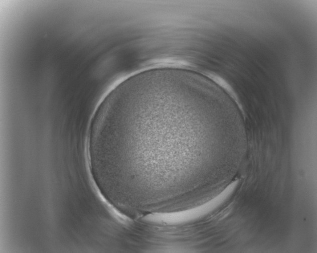 X0000066951391200604071927