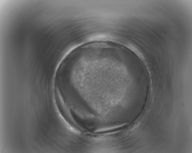 X0000066951392200604071927