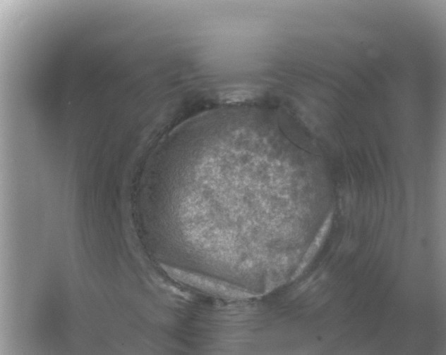 X0000066951393200604071926