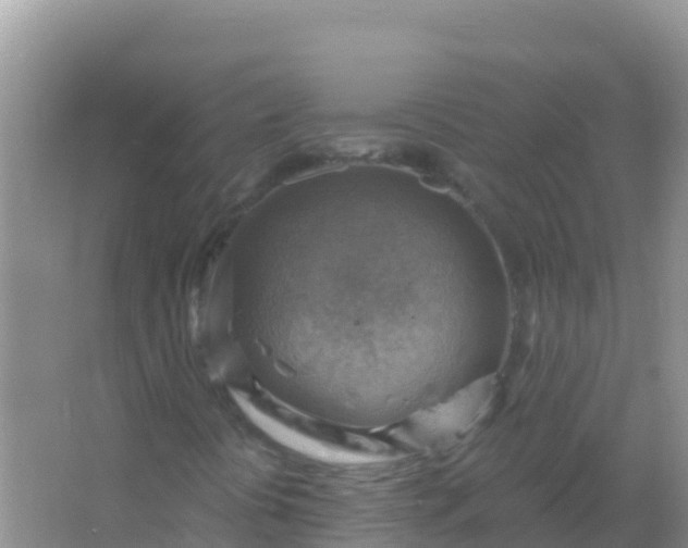 X0000066951394200604071926