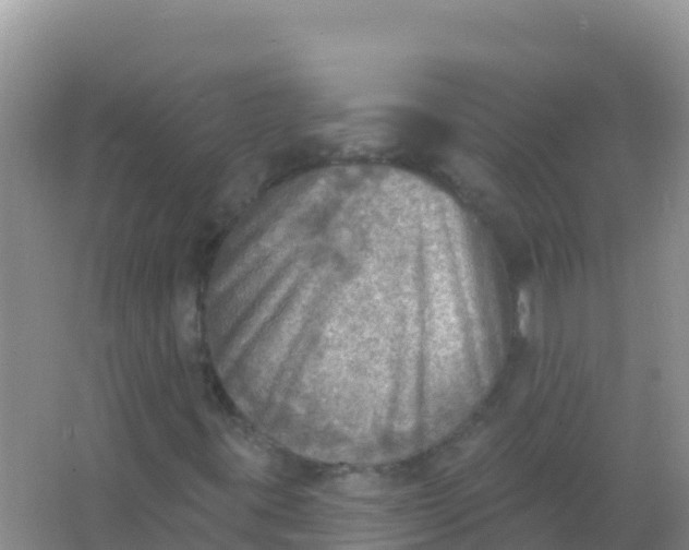 X0000066951395200604071926