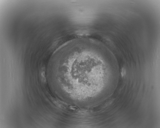 X0000066951396200604071926