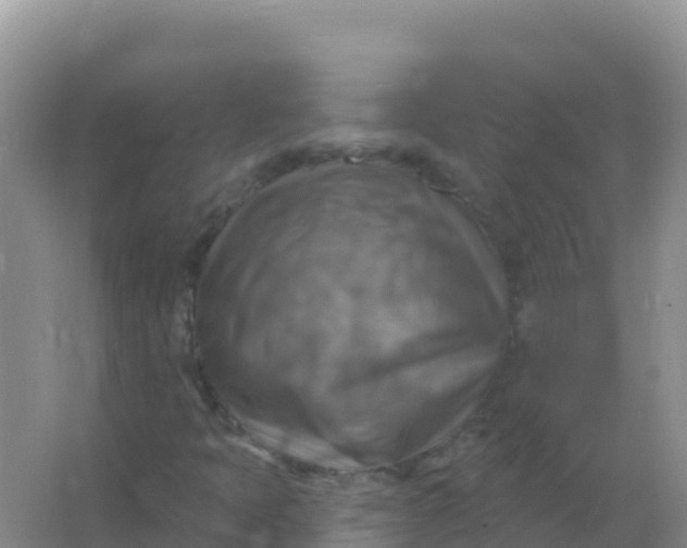 X0000066951397200604071926