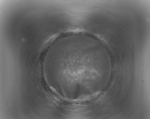 X0000066951398200604071926