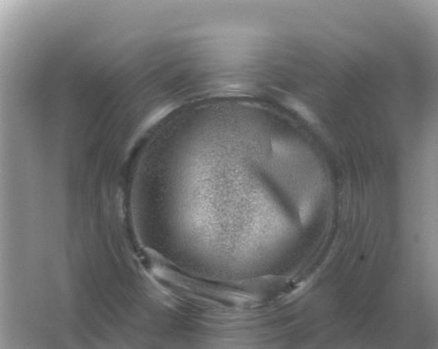 X0000066951402200604071926