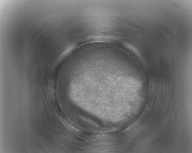 X0000066951403200604071926