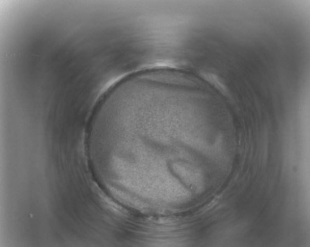 X0000066951404200604071926