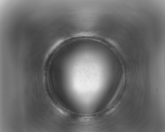 X0000066951406200604071926