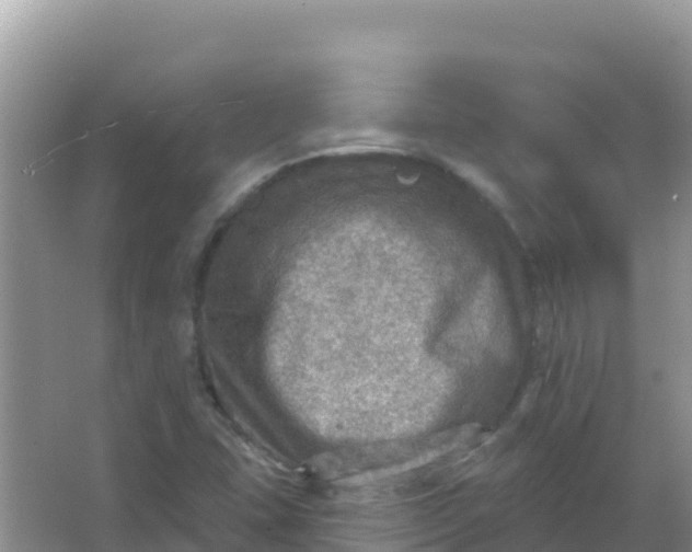 X0000066951407200604071926