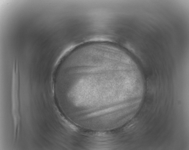 X0000066951408200604071926