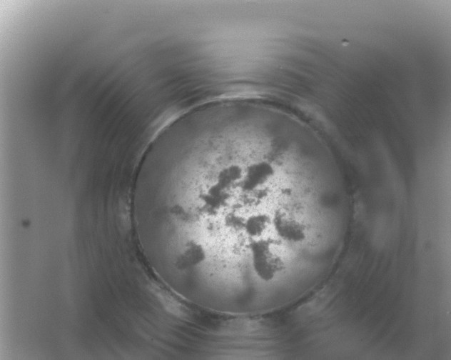 X0000066951409200604071926