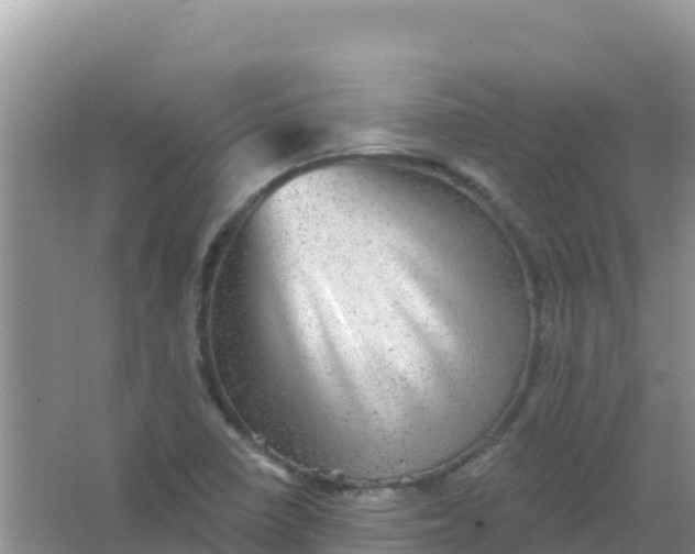 X0000066951410200604071926