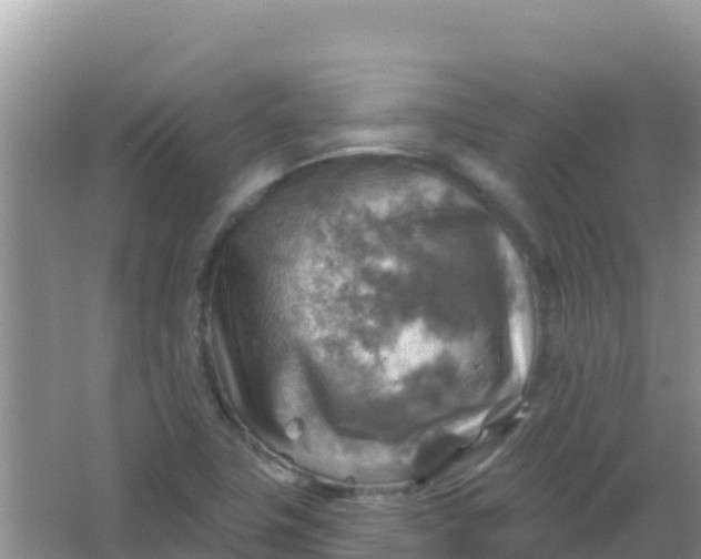 X0000066951411200604071926