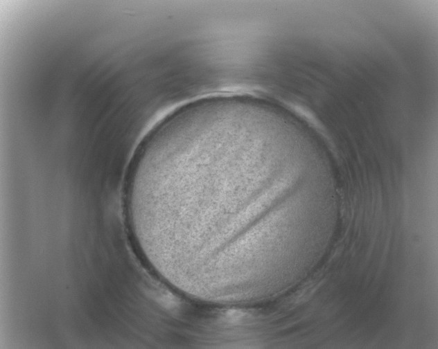 X0000066951412200604071926