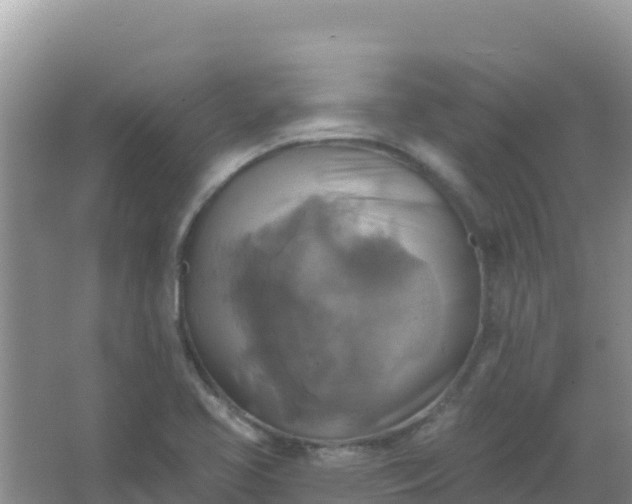 X0000066951413200604071926