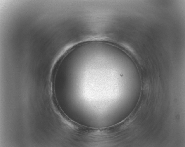 X0000066951414200604071926