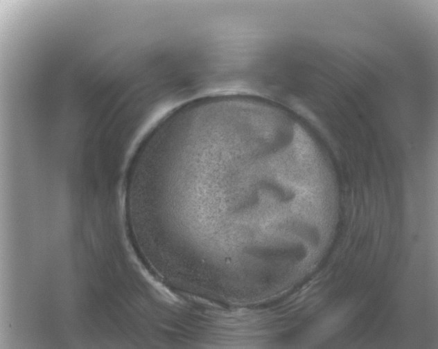 X0000066951416200604071926