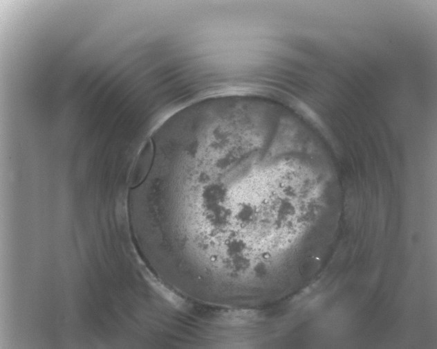 X0000066951417200604071926